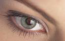auge